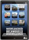Rapport d'Activités des Services 2011