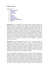 Pequeños escritores