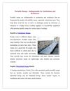 Portable Ramps - Indispensable for Institutions and Residences
