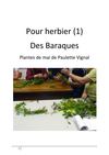 Herbier 1 (juin 2012)