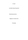 informe del proyecto el violin