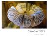 Calendrier 2013
