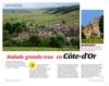 Destination - Balade grands crus en Côte-d'Or