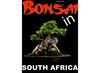 Bonsai in South Africa Nov/Dec 2012