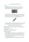 Tipos de Dispositivos de Almacenamiento