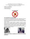 DISEÑO GRAFICO 2 