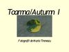 Toamna/Autumn I