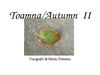 Toamna / Autumn II
