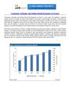 2012 || Consumer Attitudes and Online Retail Dynamics in France ||