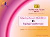 Etwinning "Around the Golden Ratio" - French pupils'presentations