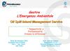 Cause di inquinamento, scenari e Messa in Sicurezza - Gabriele Palmieri - Resp. Emergenze Ambientali Petroltecnica