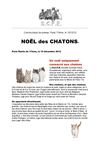 Noël de chatons, Exposition féline internationale le 15/12, mairie de PAris 17e