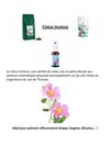 Brochure Cistus Incanus