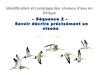 Formation oiseaux d'eau Afrique. Séq 2 identification Afrique sahélienne 2012