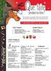 Que faire pendant les fêtes ? (Rennes 2012)