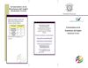 Triptico LEIV español