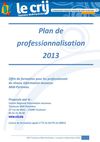Plan de professionnalisation IJMP 2013