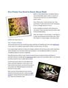 Five Points You Need to Know About Mold