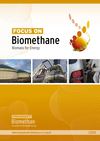 Focus on Biomethane