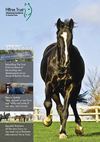 The Horse Trust Newsletter Winter 2012