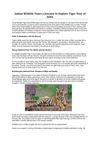 Indian Wildlife Tours a Journey to Explore Tiger Tour of India