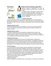Funciones básicas de un sistema operativo