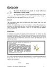 Ecology of the shoreline
