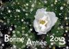 Calendrier 2013 de la Roseraie du Val-de-Marne