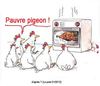 Pauvre pigeon