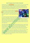 About The Appeal Of Recent Outdoor String Lights