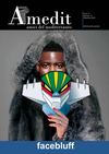 AMEDIT MAGAZINE, n. 13 – Dicembre 2012