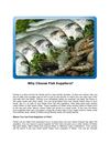 Why Choose Fish Suppliers?