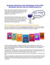 Growing Importance and Advantages of Hire PHP Developer Service from an Outsourcing Firm