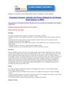 Aarkstore.in - Changing Consumer Attitudes and Future Outlook for the Budget Hotel Industry in BRIC