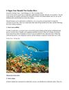 6 Scuba Diving Tips