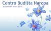Boletin Naropa Enero 2013