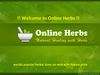  Natural Herbal Remedy For Lungs Respiratory System 