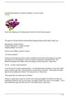 Fitness DVD Review: Zumba Fitness Exhilarate Body Shaping System DVD (Multi, Small)