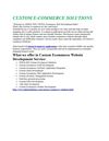 Custom Ecommerce Solutions