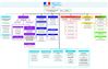 Organigramme de l'Insitut français du Liban (2013)