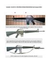 Armalite / Colt AR-15 / M16 M16A1 M16A2 M16A3 M16A4 fusil d'assaut (USA) Americas Best Site Pour AR-15 Ammo 223...