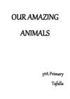 AMAZING ANIMALS