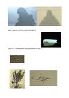 MES LANDS ARTS JANVIER 2013 MANUE