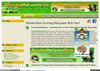 Buy Marijuana Seeds Canada Online