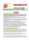 FEDECHIMIE CGTFO - Semaine 06 - 2013