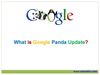 What is Google Panda Updates
