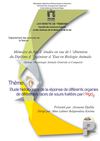 étude anatomo-pathologique de l'action de l'HgCl2 sur deux races différentes de souris