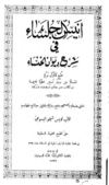 أنيس الجلساء في شرح ديوان الخنساء منسقا ومفهرسا