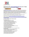 2013 China Ferrous Metal Mining Market Industry