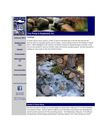True Pump and Equipment, Inc. February 2013 Newsletter